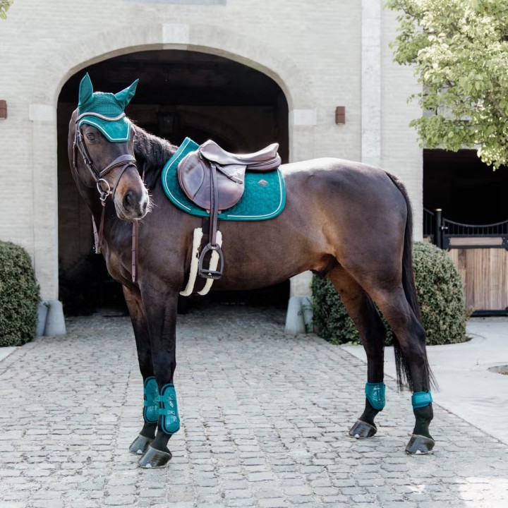 Guetres bambo elastique kentucky