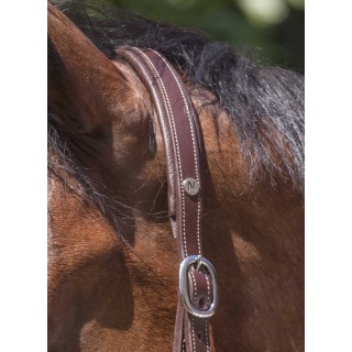 Licol cuir norton pro grooming