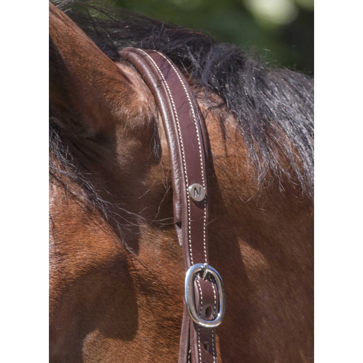 Licol cuir Norton Pro Grooming pour cheval