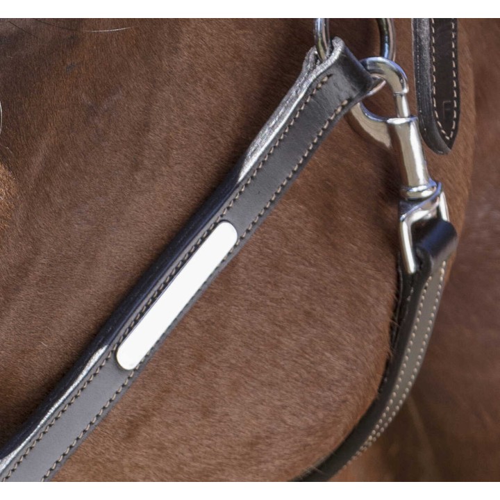 Licol cuir Norton Pro Grooming pour cheval