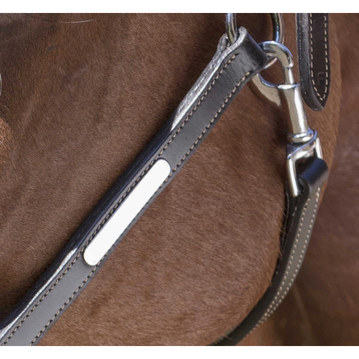 Licol cuir Norton Pro Grooming pour cheval