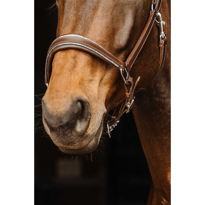 Licol cuir Norton Pro Rock pour cheval