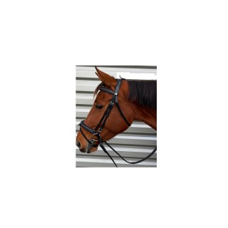Bridon canter mylord