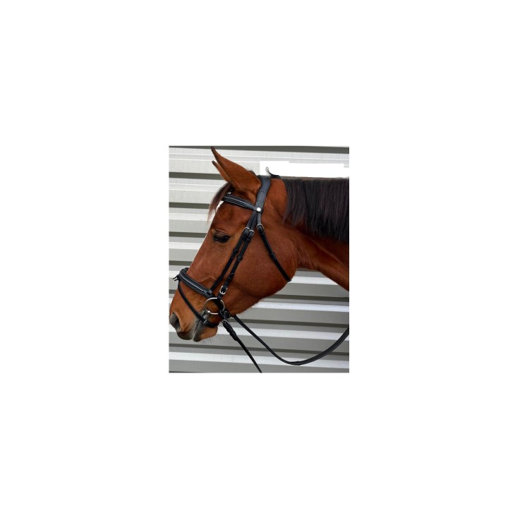 Bridon canter mylord