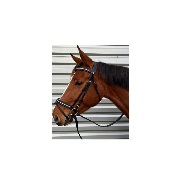 Bridon canter mylord