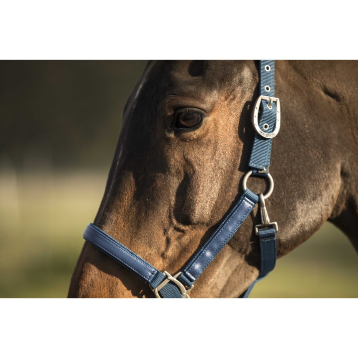 Licol lami-cell lc LAMICELL pour cheval