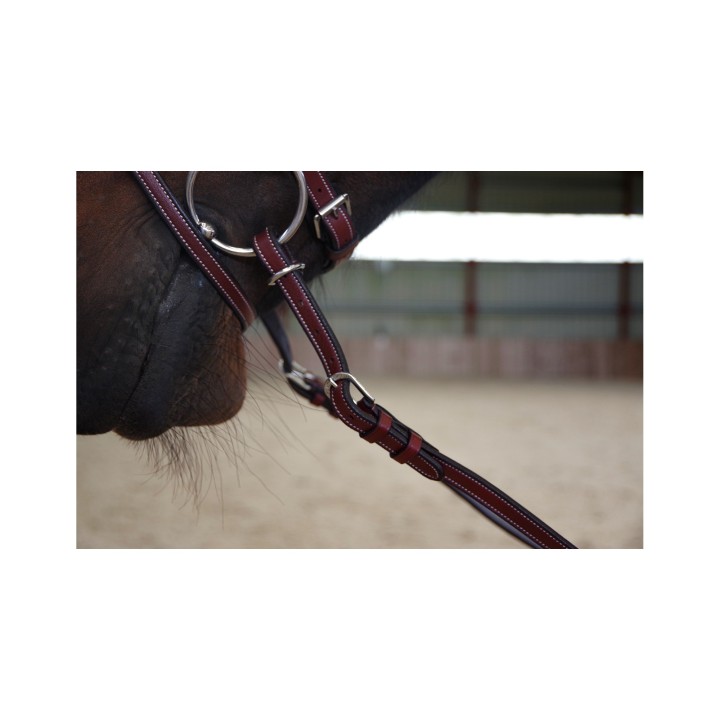 Renes ajustables a poignees f&c
