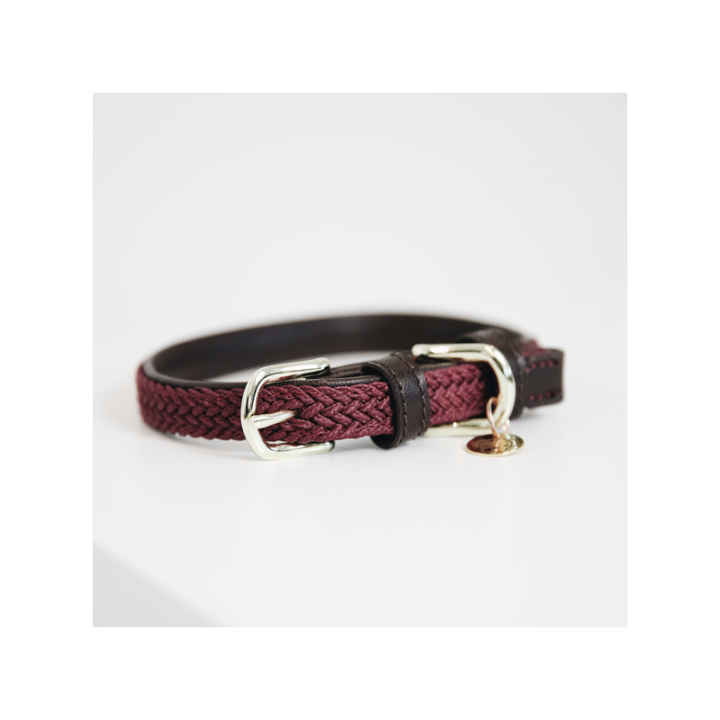 Collier de chien nylon tresse