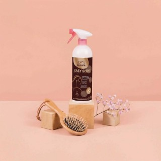 EASY SHINE RAVENE Édition Limitée 750 ml
