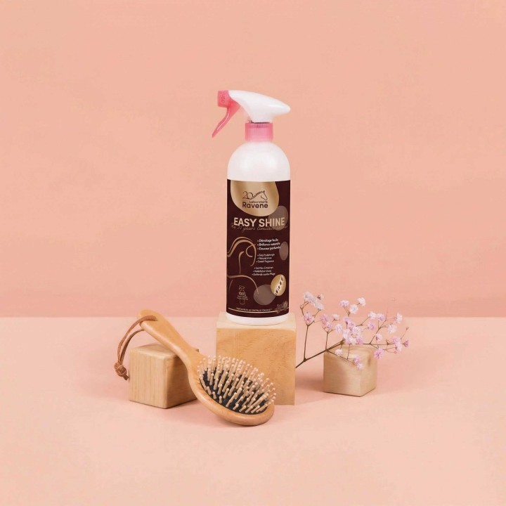EASY SHINE RAVENE Édition Limitée 750 ml
