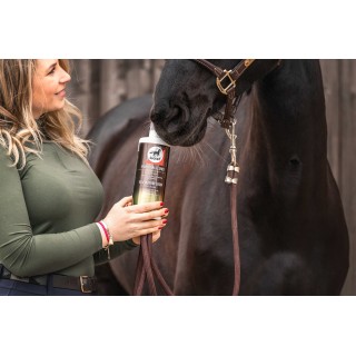 Elixir bronches cheval LEOVET 1000 ml