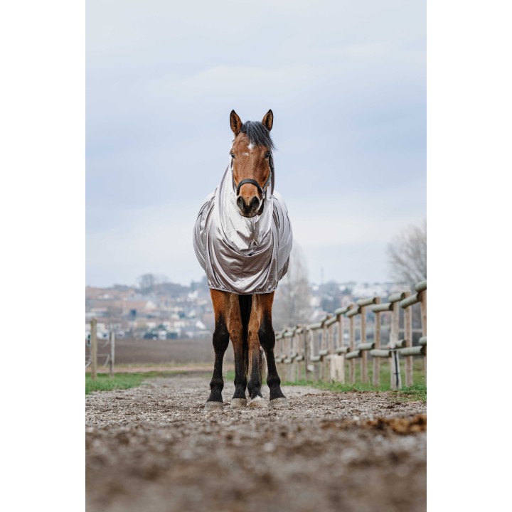 Chemise anti-eczéma Riding World gris