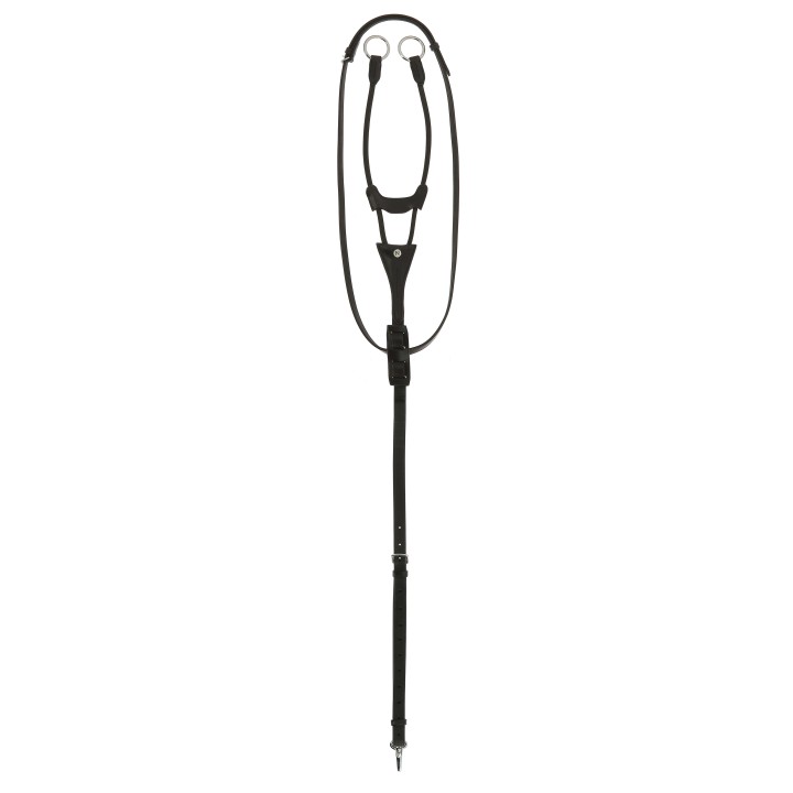 Martingale à anneaux élastiques Norton Pro
