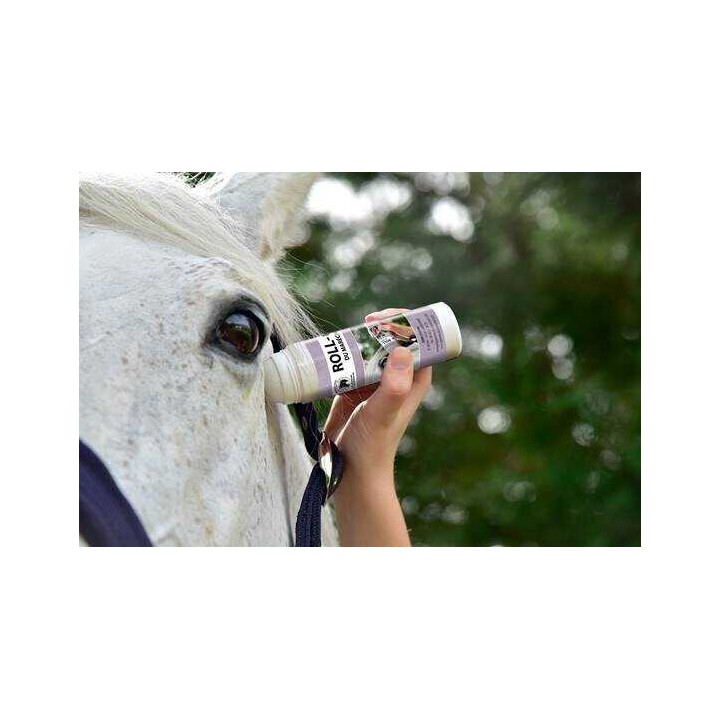 Roll-on anti insectes du marechal 100ml