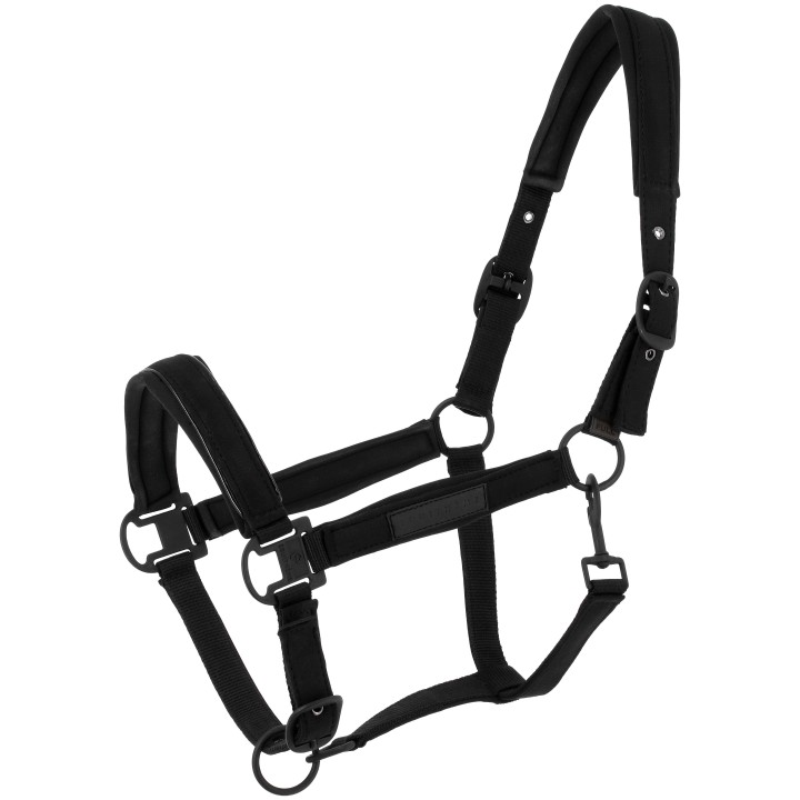Licol EQUI-THEME Pearl rembourré néoprène