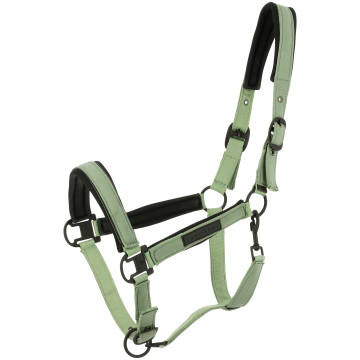 Licol EQUI-THEME Pearl rembourré néoprène