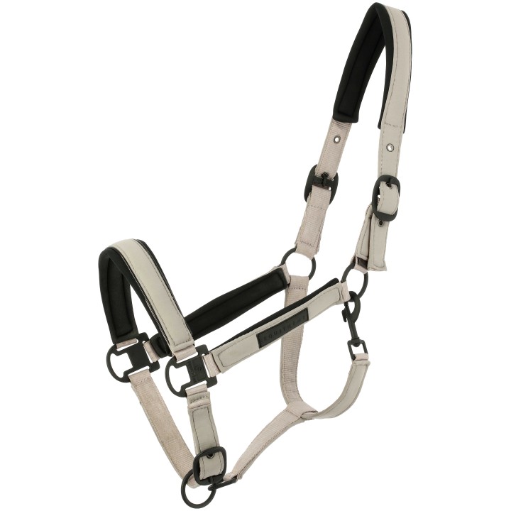 Licol EQUI-THEME Pearl rembourré néoprène