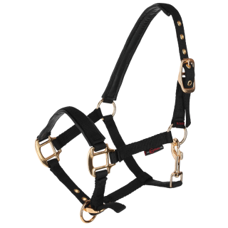 Licol poulain Topline KERBL - Réglable