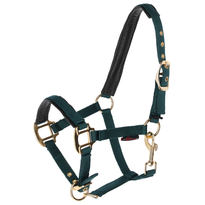 Licol poulain Topline KERBL - Réglable
