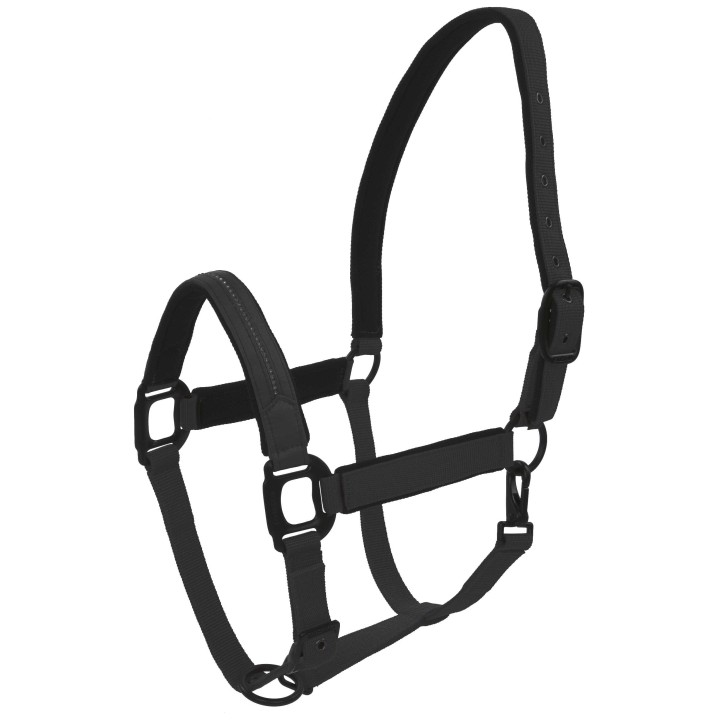 LICOL CHARMING LAMI-CELL CHEVAL