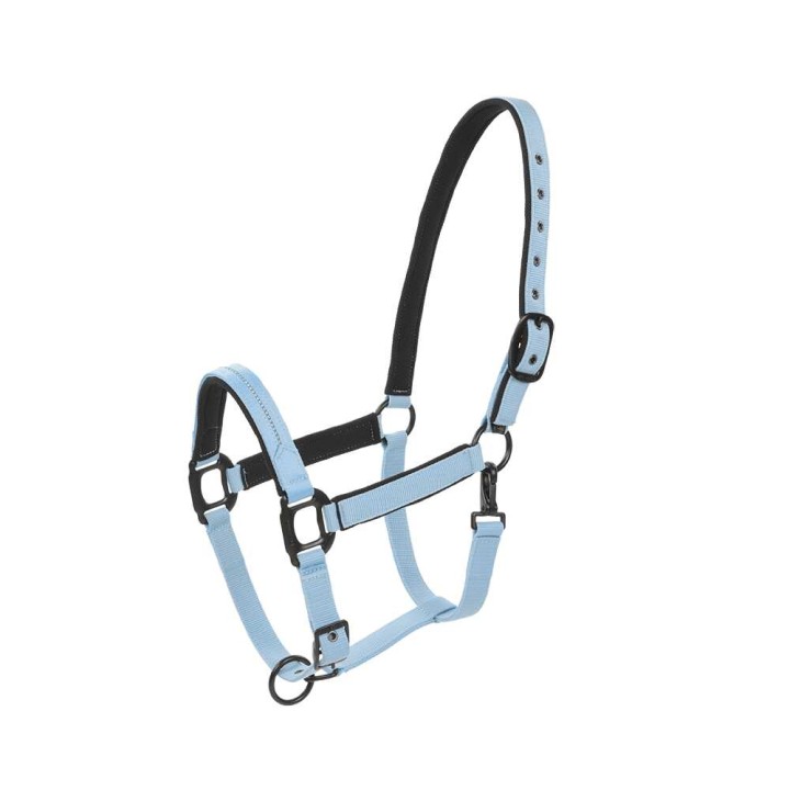 LICOL CHARMING LAMI-CELL CHEVAL