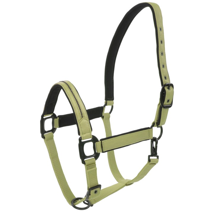 LICOL CHARMING LAMI-CELL CHEVAL