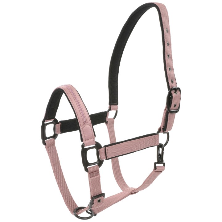 LICOL CHARMING LAMI-CELL CHEVAL