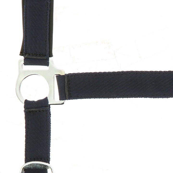 510494307_zoom_1_web.jpg