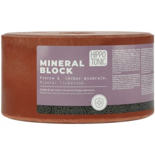 pierre-a-sel-hippotonic-mineral-block.jpg