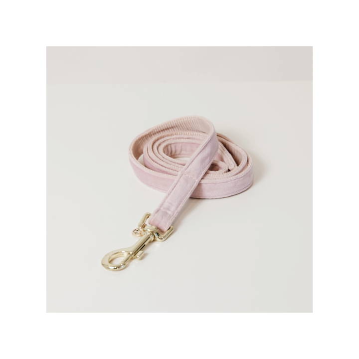 Laisse pour chien velvet 120cm