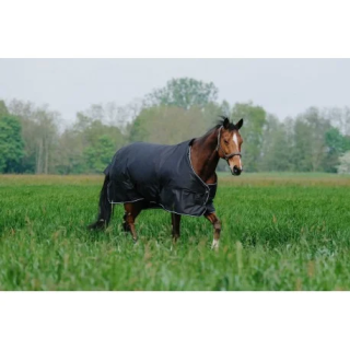 chemise-equitheme-tyrex-600d.jpg