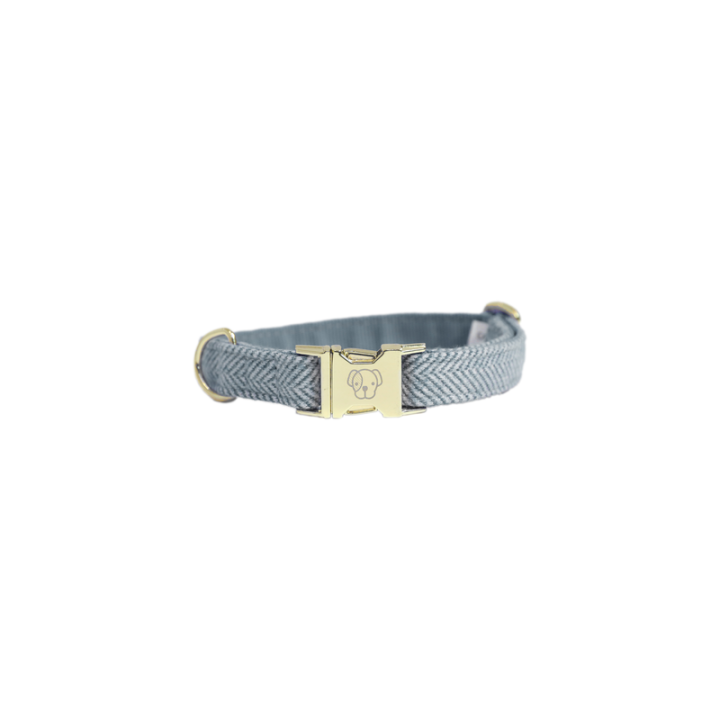 Collier pour chien wool