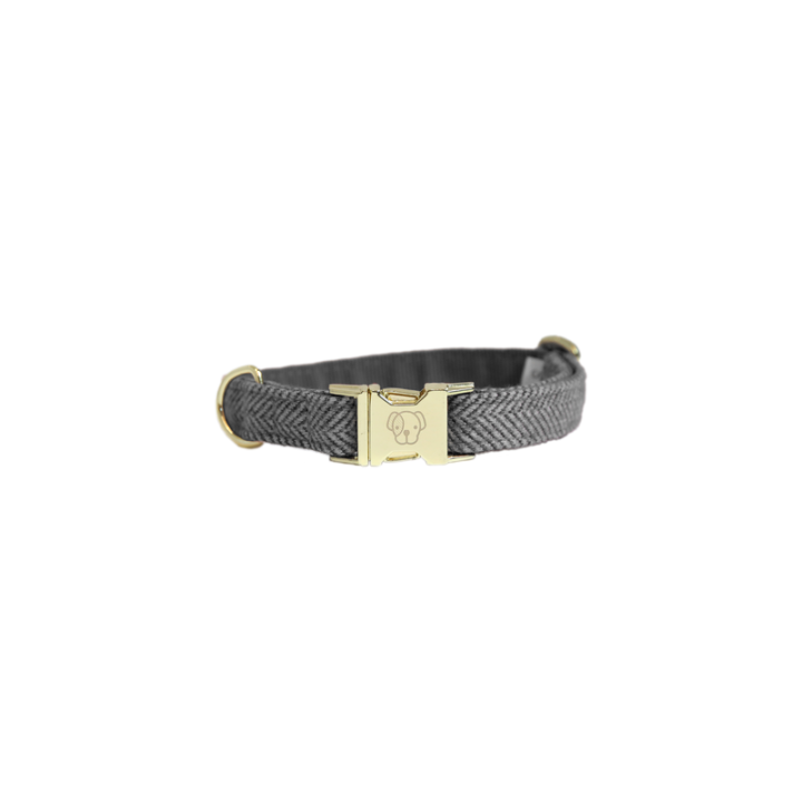 Collier pour chien wool