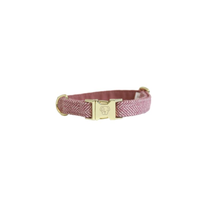 Collier pour chien wool