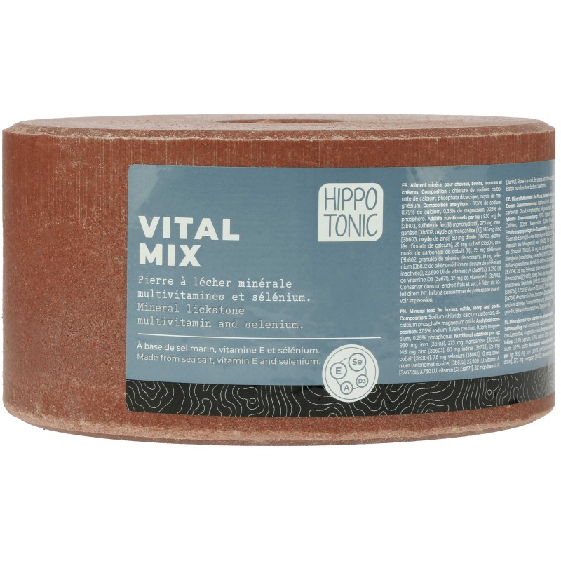 Pierre à sel HIPPOTONIC Vitalmix