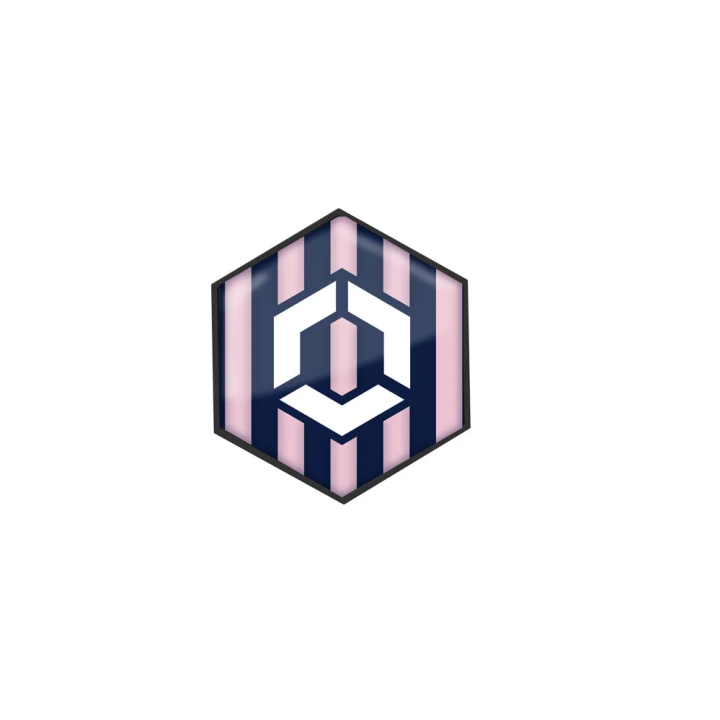 TREXON_STRIPES_ROSE-MARINE.jpg