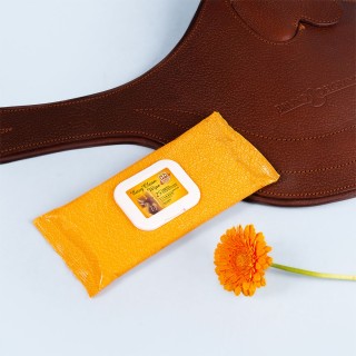 Easy clean wipe lingettes cuirs x25