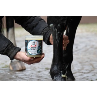 Gel refroidissant cellsius leovet 600ml