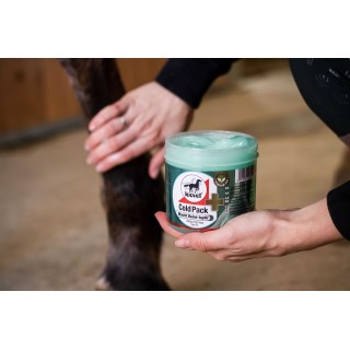 Gel rafraichissant cold pack leovet 500ml