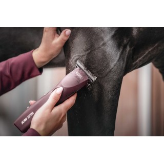Tondeuse KM Supera Wahl - Sellerie Horse Discount