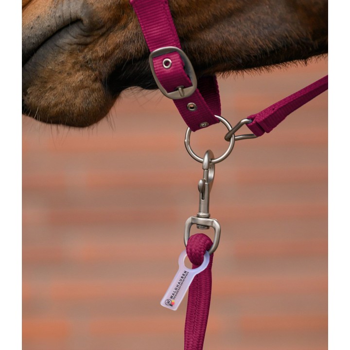 Licol Velvet WALDHAUSEN + Longe | Velours & Confort