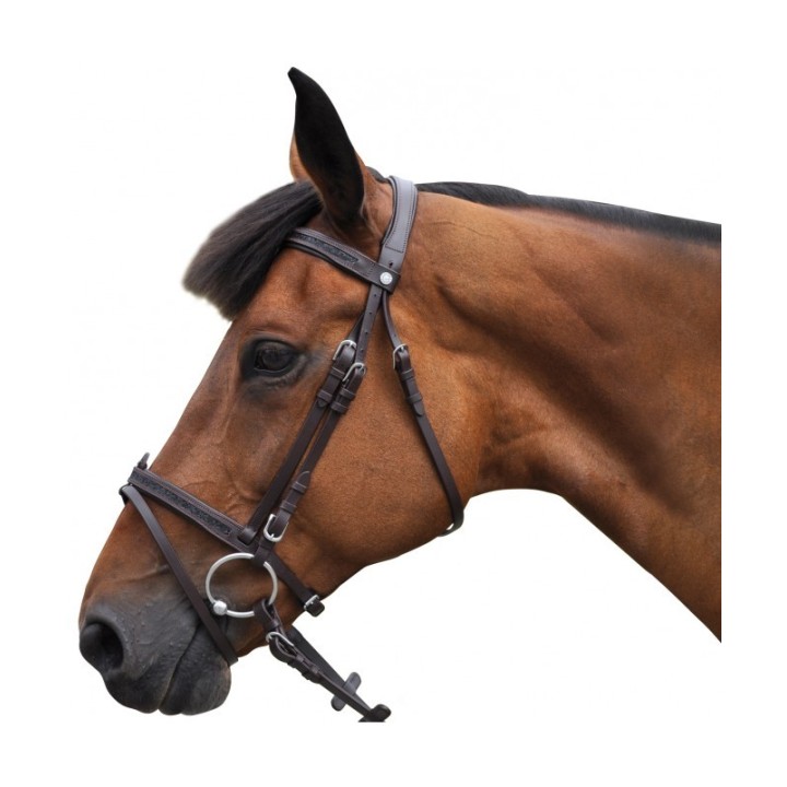 Bridon Canter Black Strass PRIVILEGE