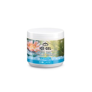 Ice gel veredus 0.5litre