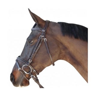 Bridon canter surpique combine PRIVILEGE
