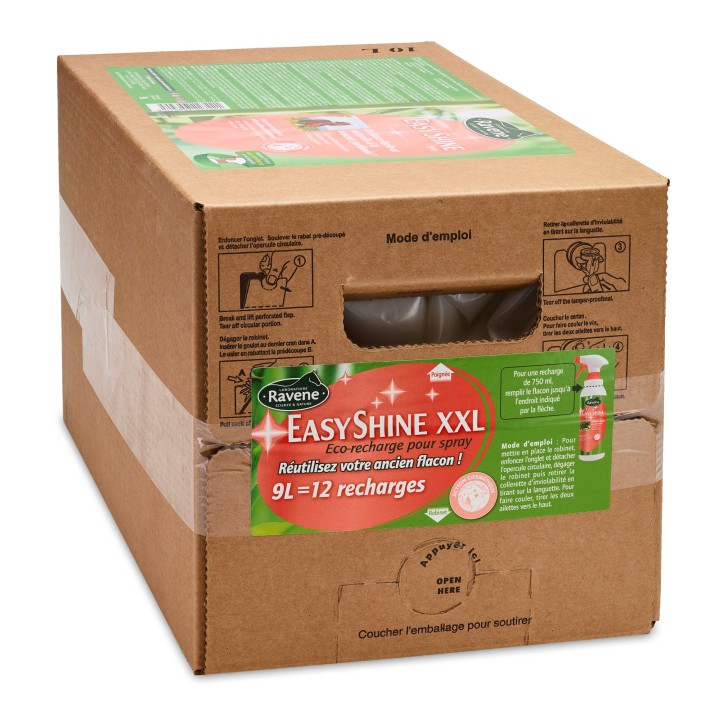 Easy Shine Ravene recharge 3L - Lustre cheval