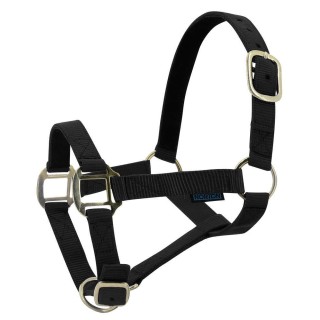 Licol Norton nylon cuir cheval noir