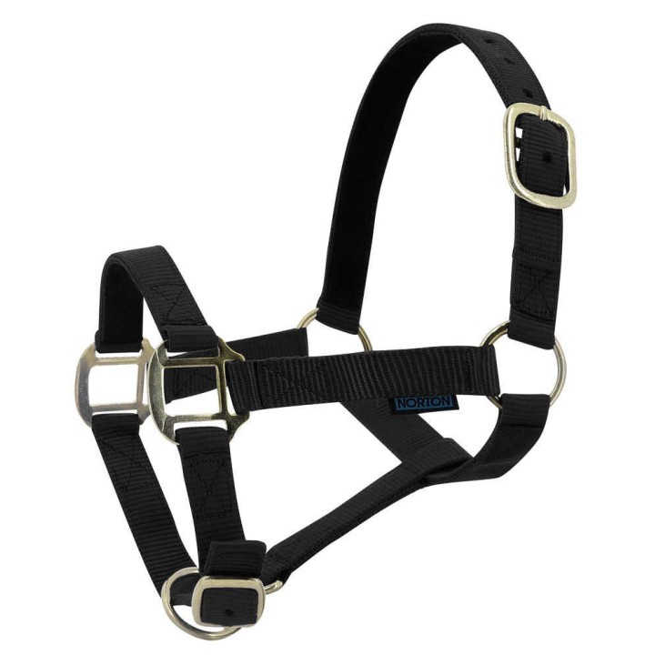 Licol Norton nylon cuir cheval noir