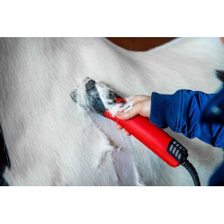Tondeuse lister fusion equin