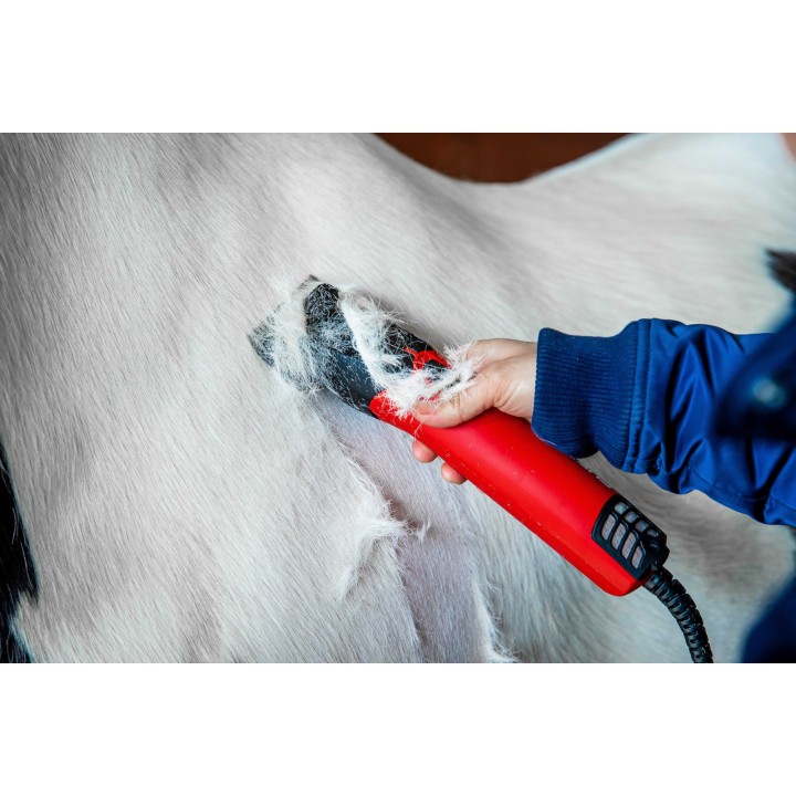 Tondeuse lister fusion equin