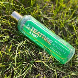 Shampoing teatree & mint shampoo 500ml